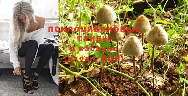 прущая мука Баксан
